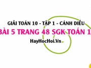 Giải bài 5 trang 48 Toán 10 Tập 1 SGK Cánh Diều